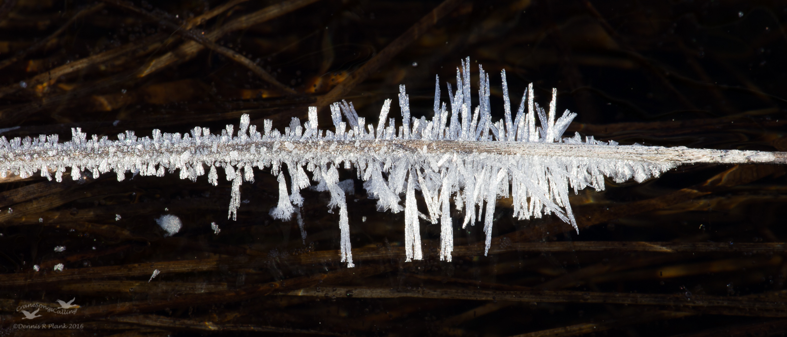 Ice Spear