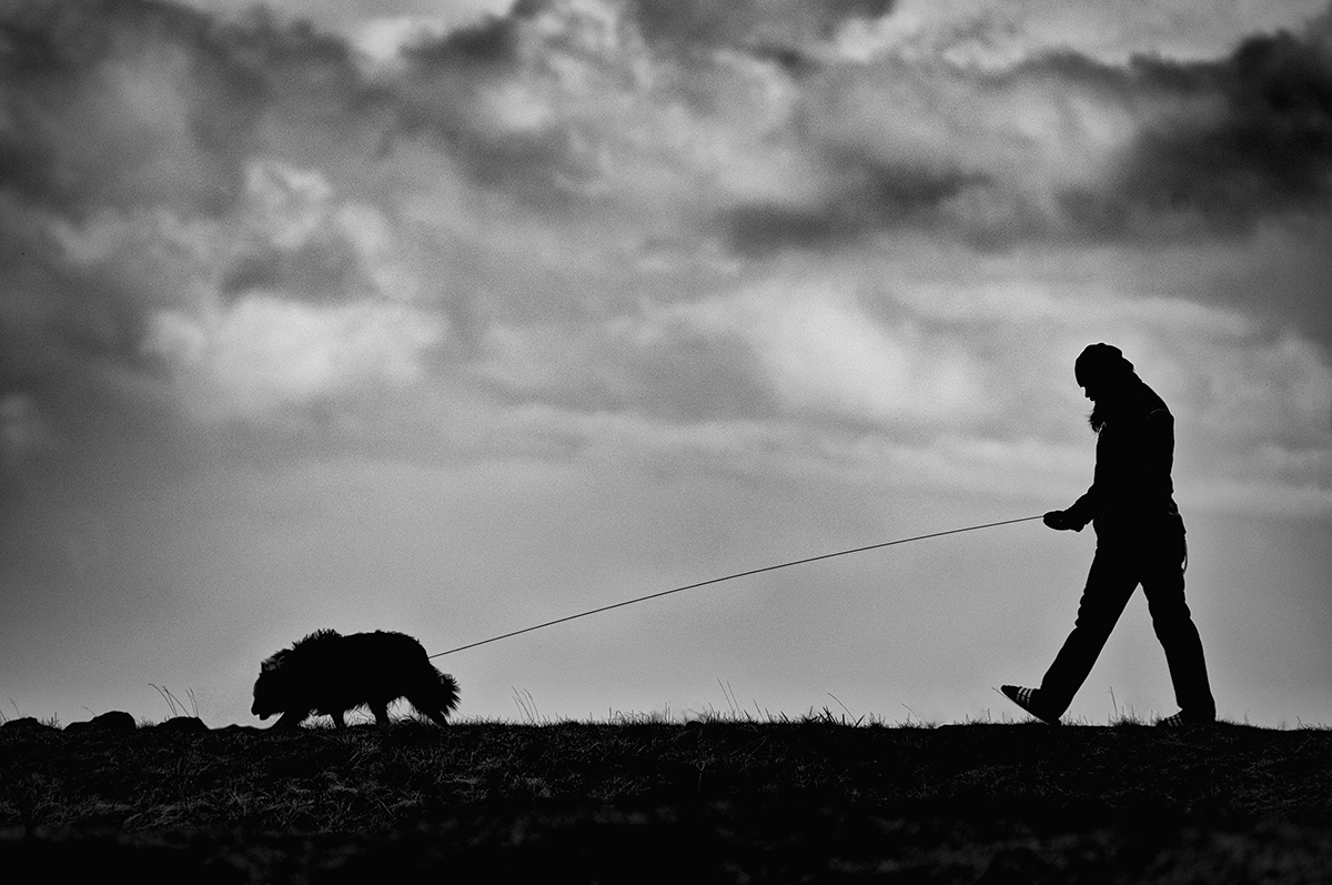 Walking the dog
