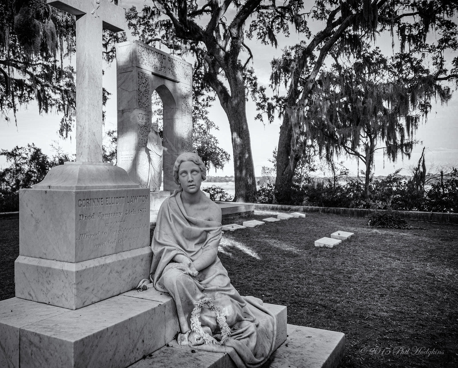 A Savannah Mystery?