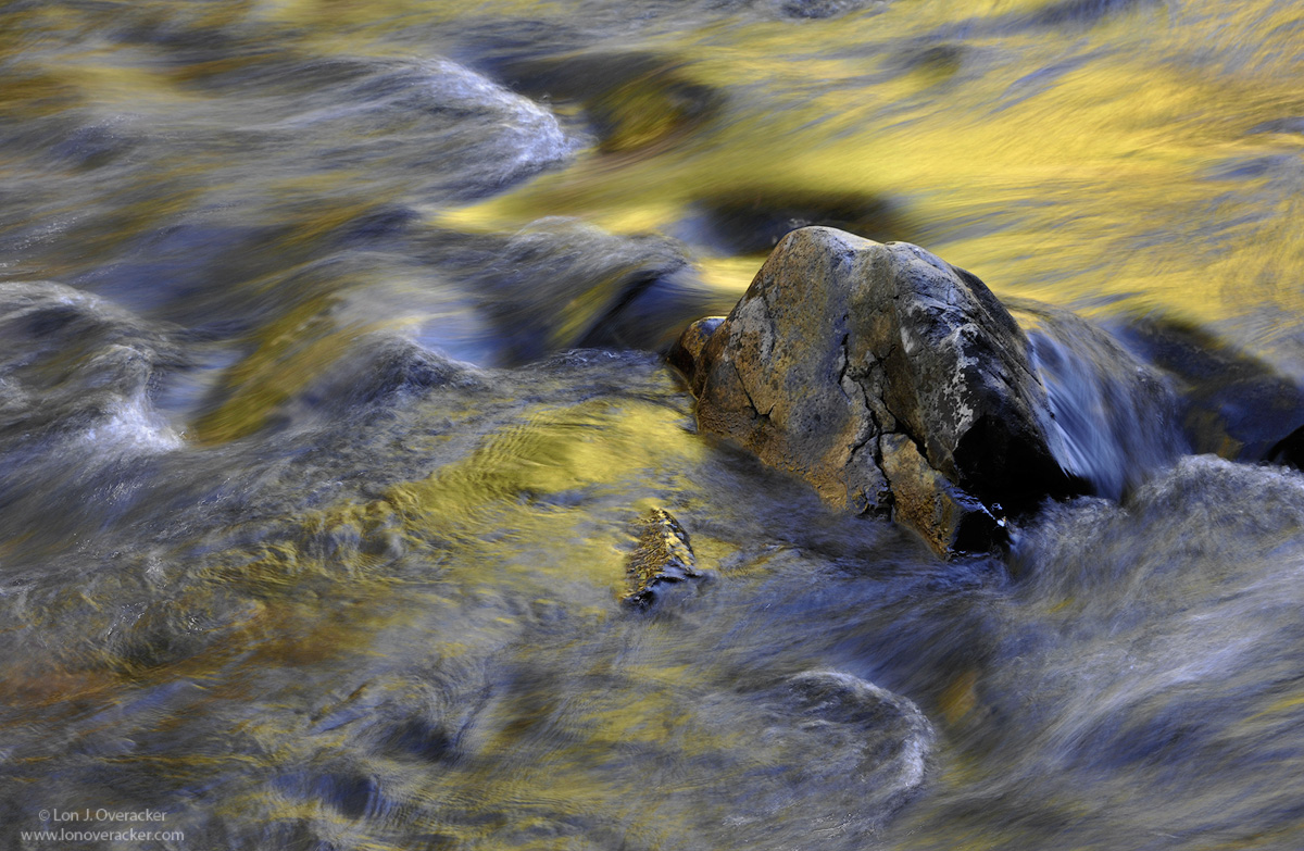 Gold Rush