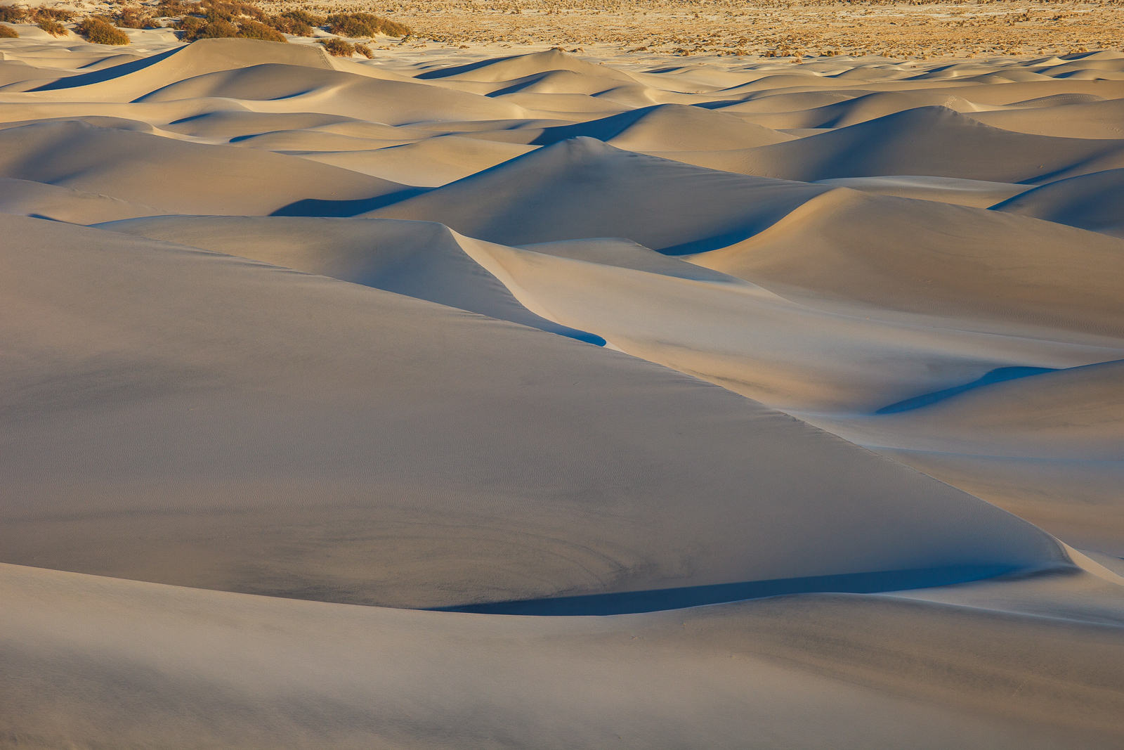 Dune Flow-Repost