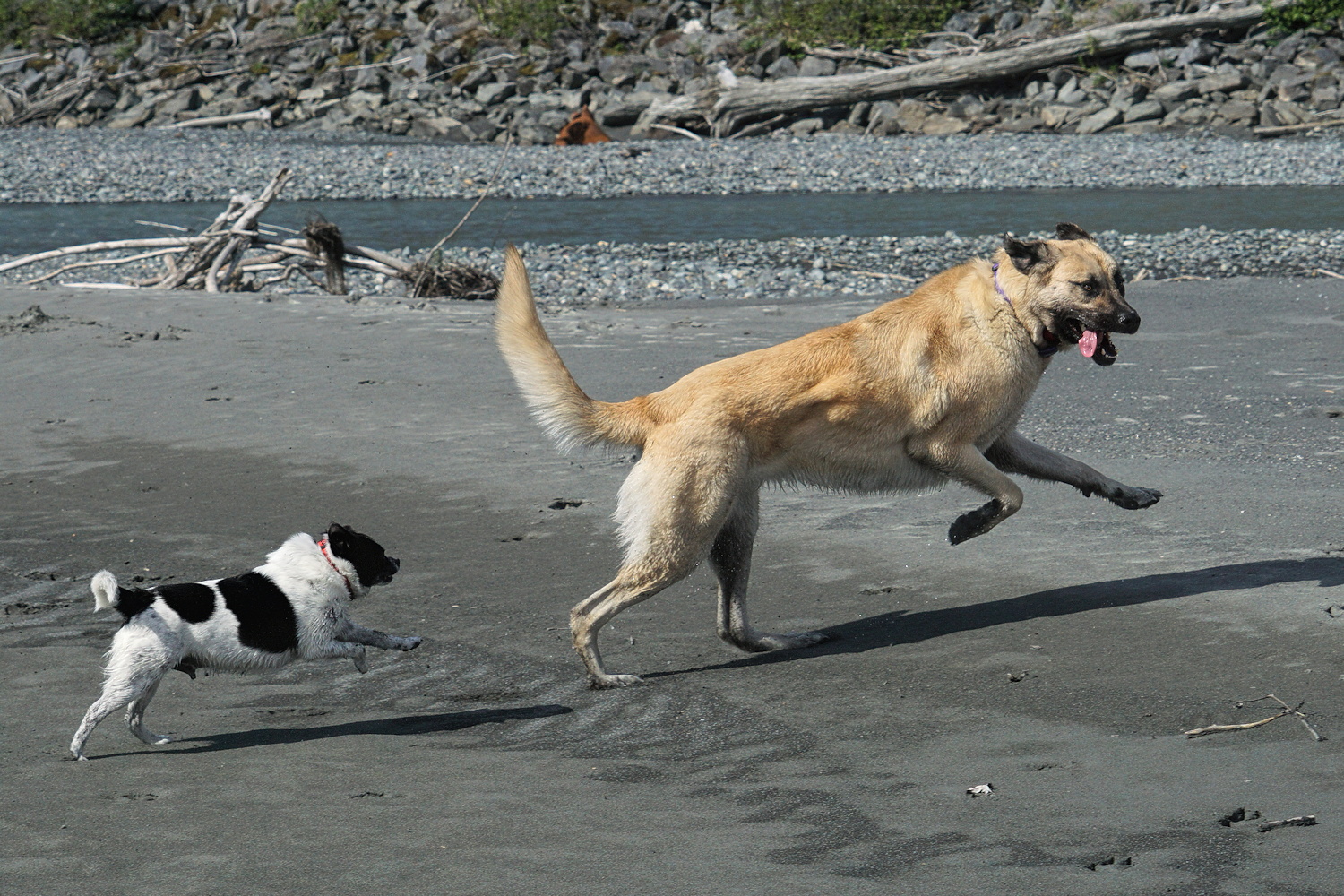 Walk This Way