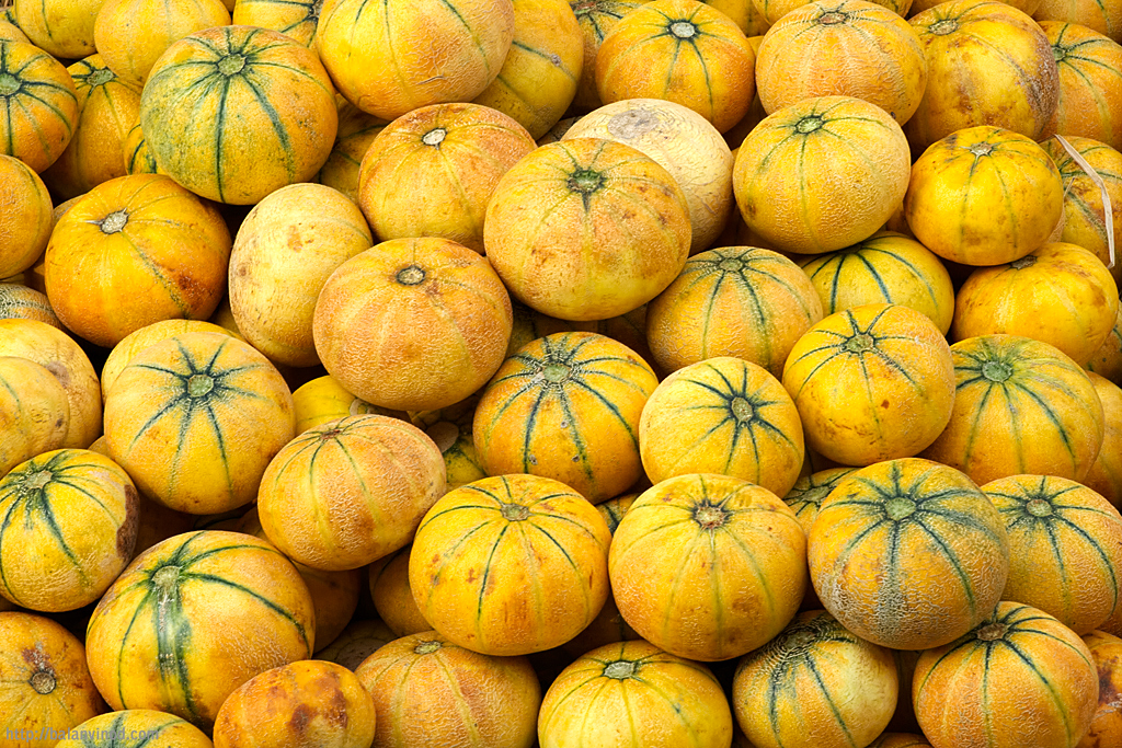 Melons