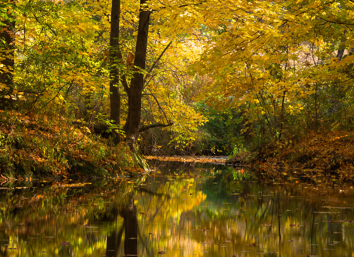 Quiet Skillet Creek RP#2