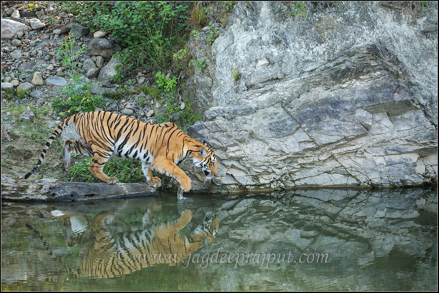 (W-repost) Testing the water