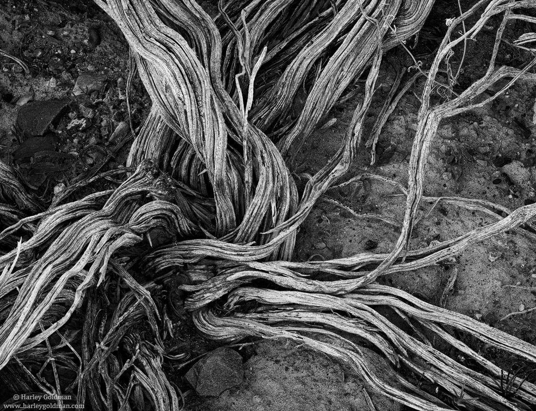 Entwined