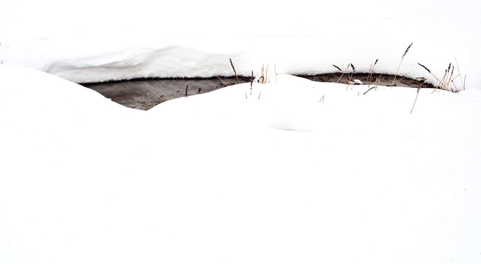 Snow And  Water