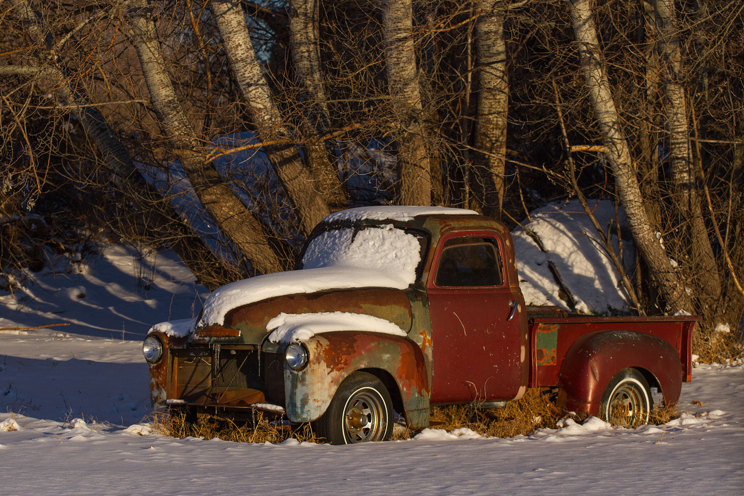 Left in the Snow