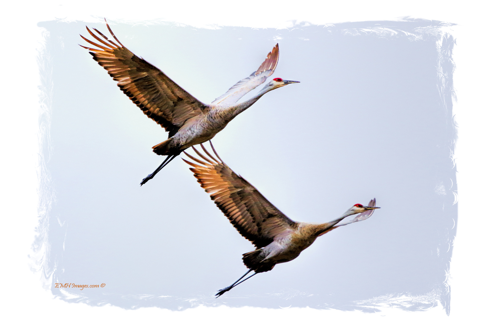 Fly Away