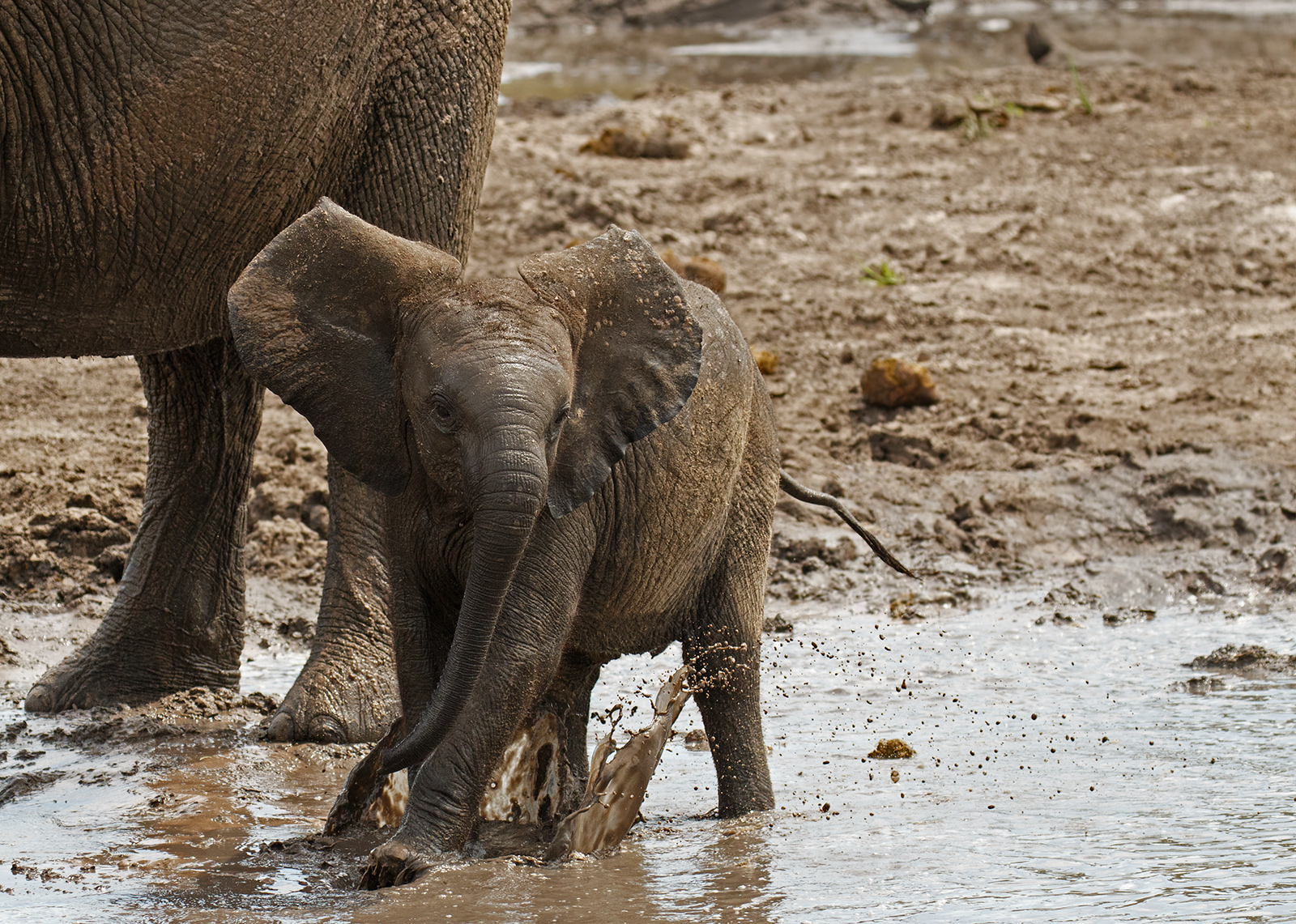 I'm With Mum