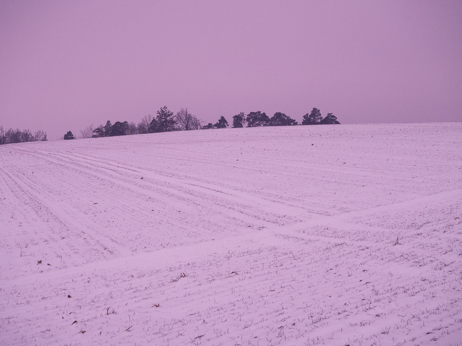 Wintry Morning
