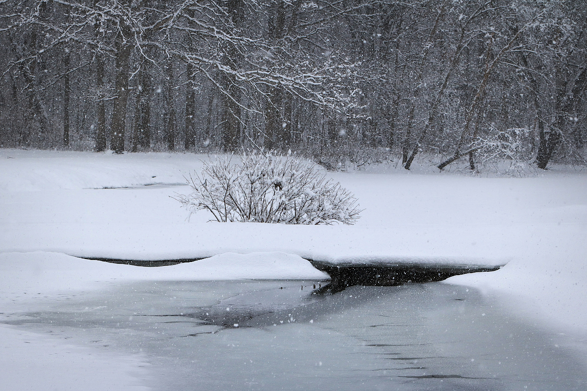Snowy Day + 2