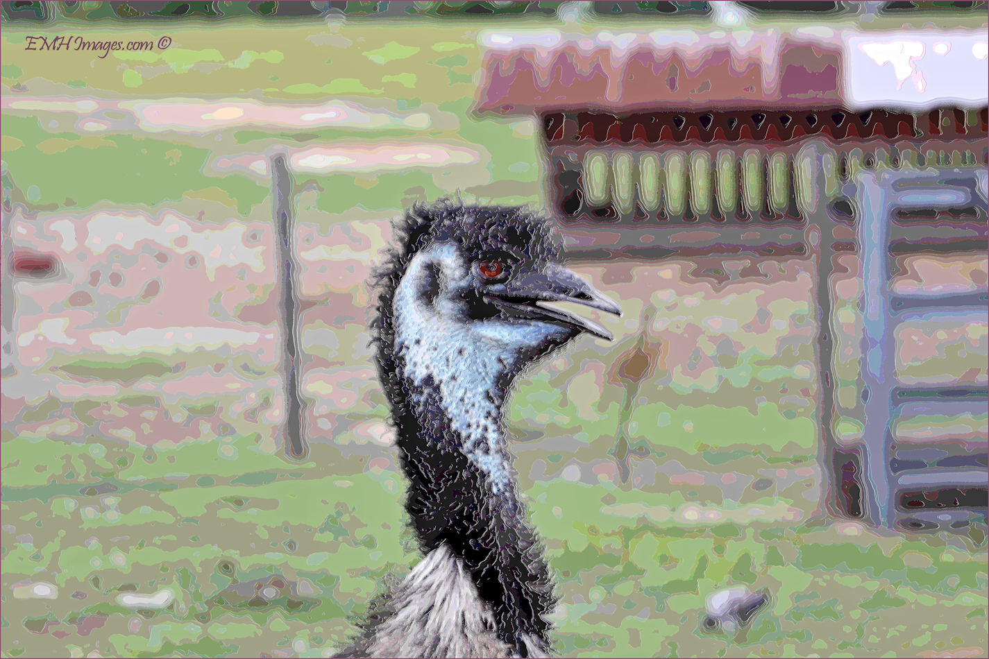 Goofy Emu