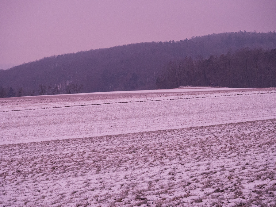Wintry Morning II