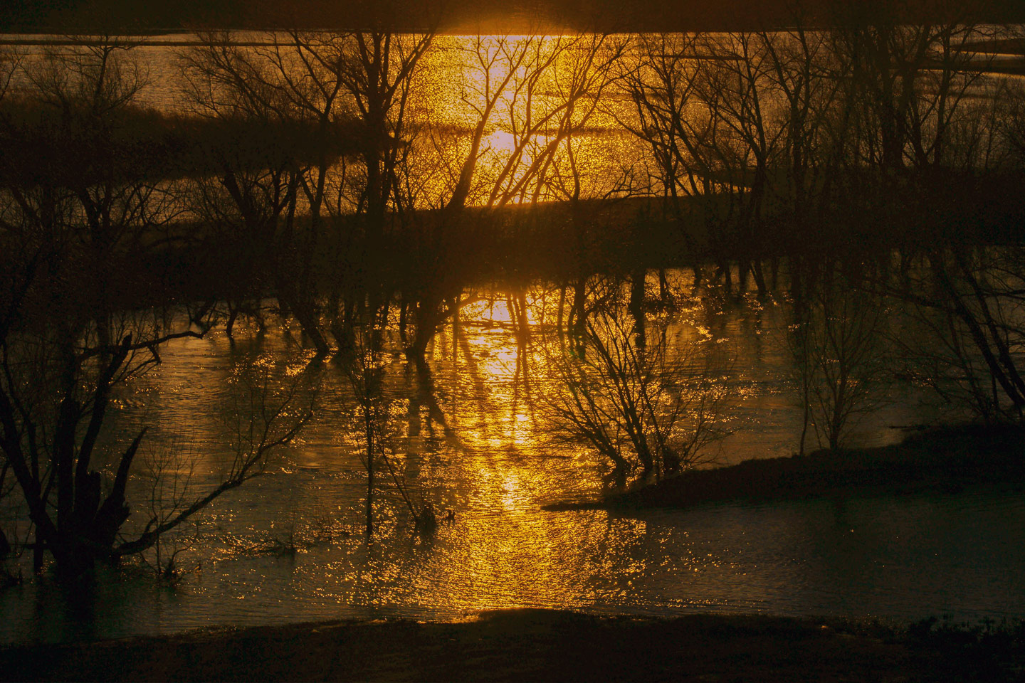 Trinity River Flooding