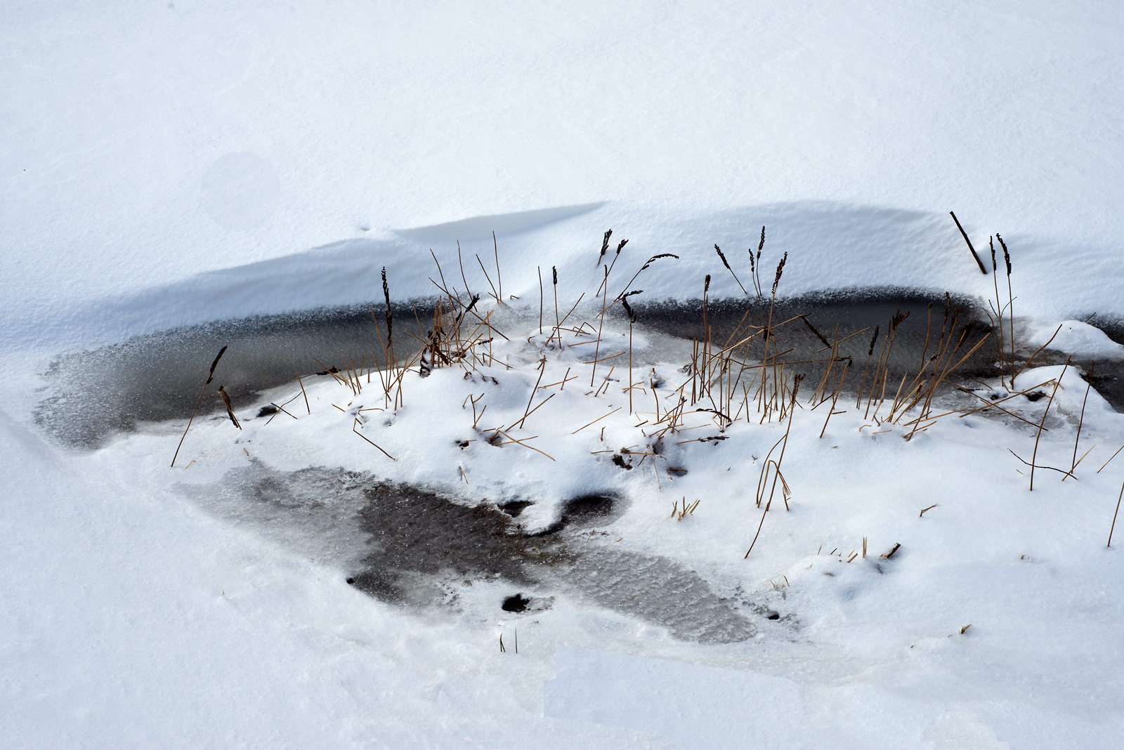Intimate   Winterscape