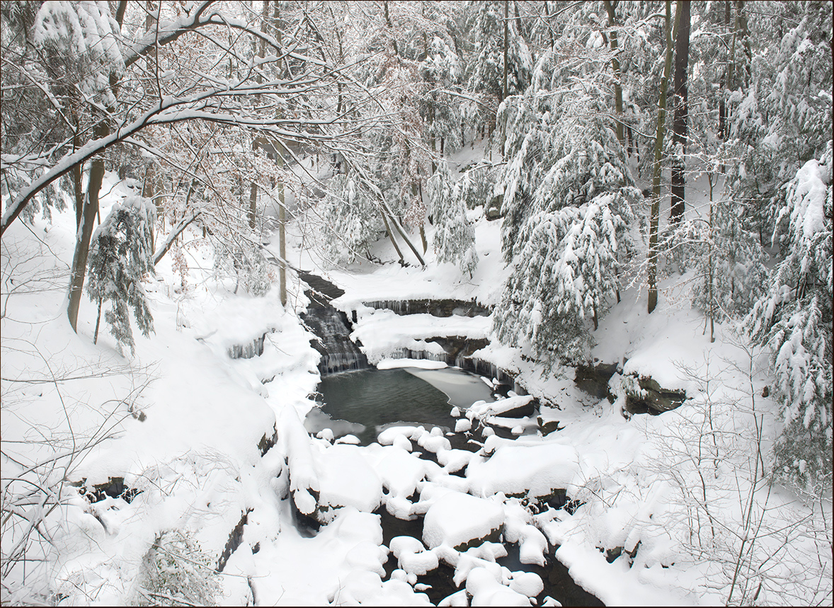 Winter Wonderland