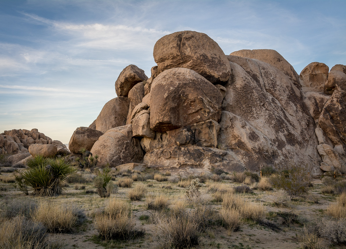 Mojave Monster