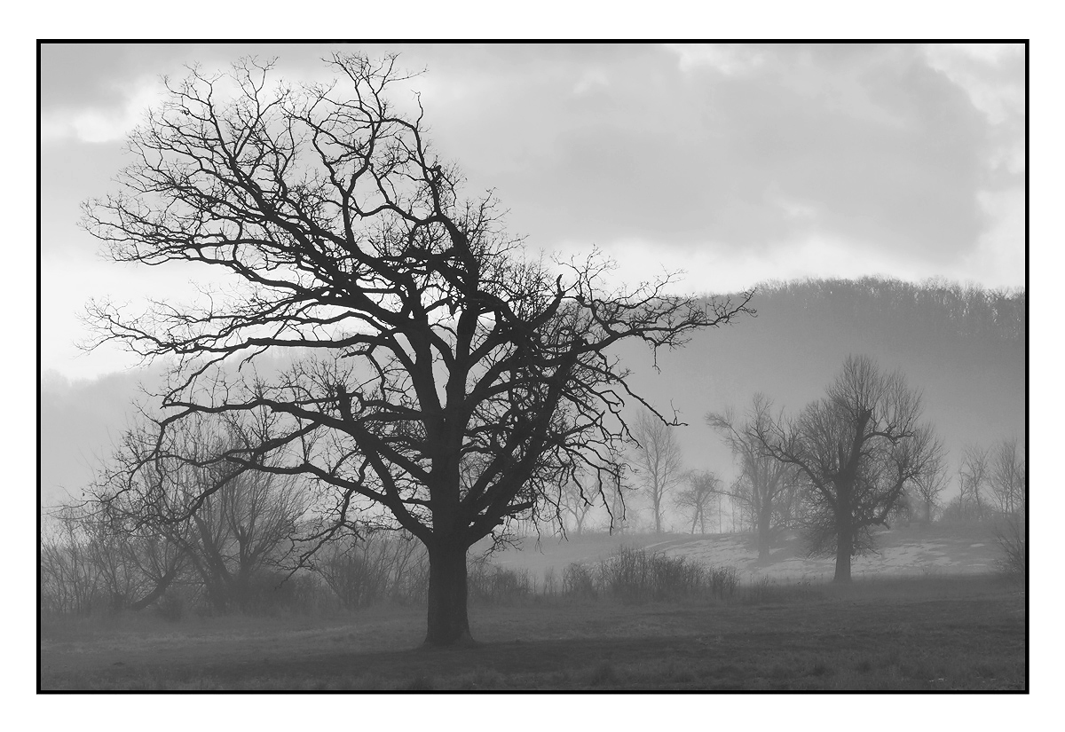 Winter Ending?