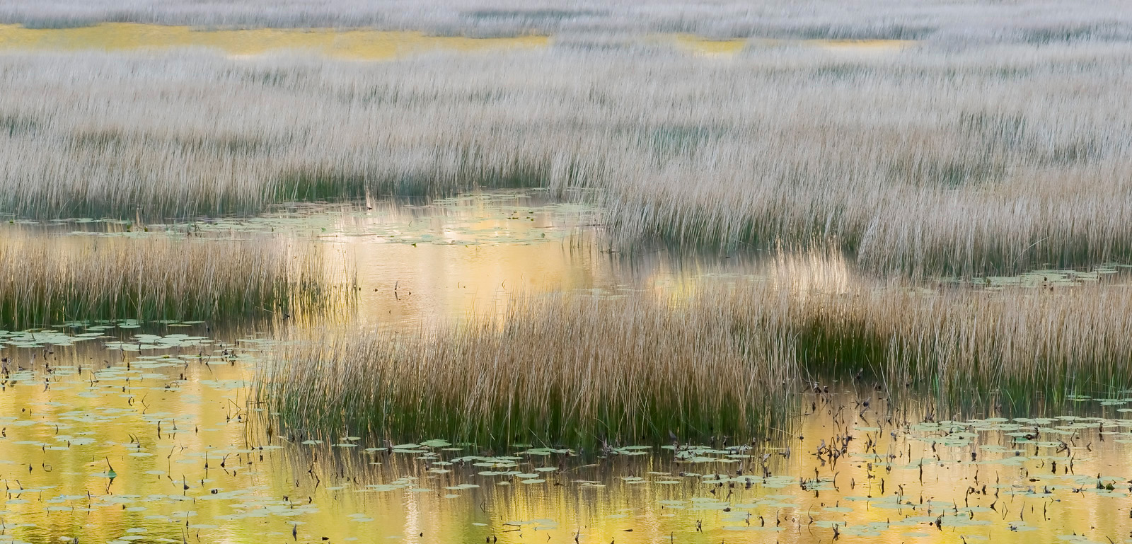 The Tarn # 2