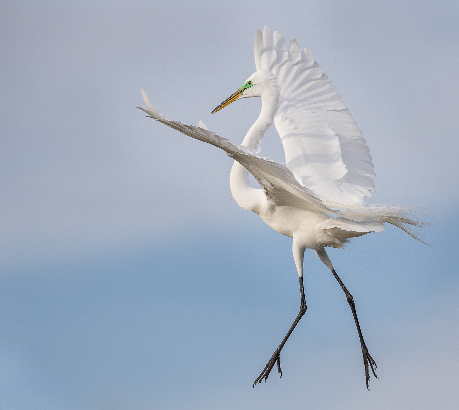 Arial Ballet