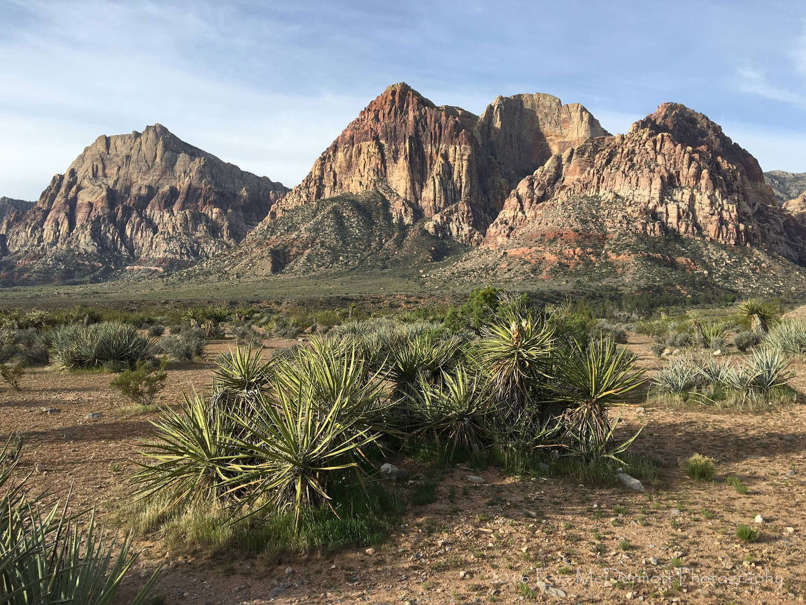 Red Rock Canyon NV