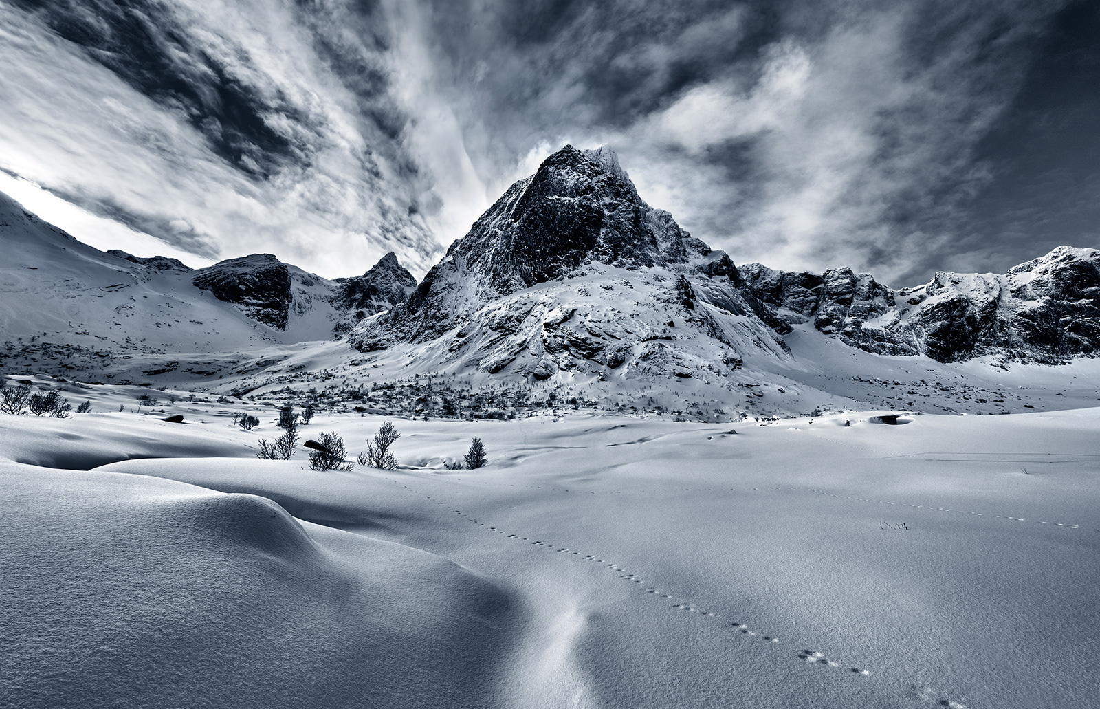 Hall MountainKing +BW