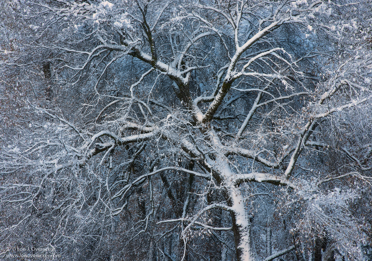 After the Flurries
