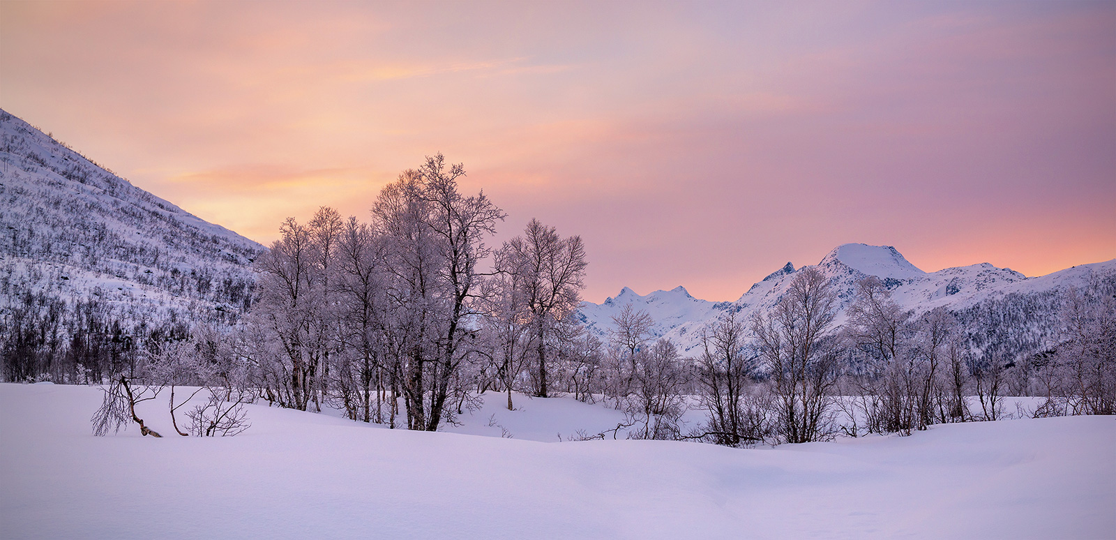 Winter Wonderland