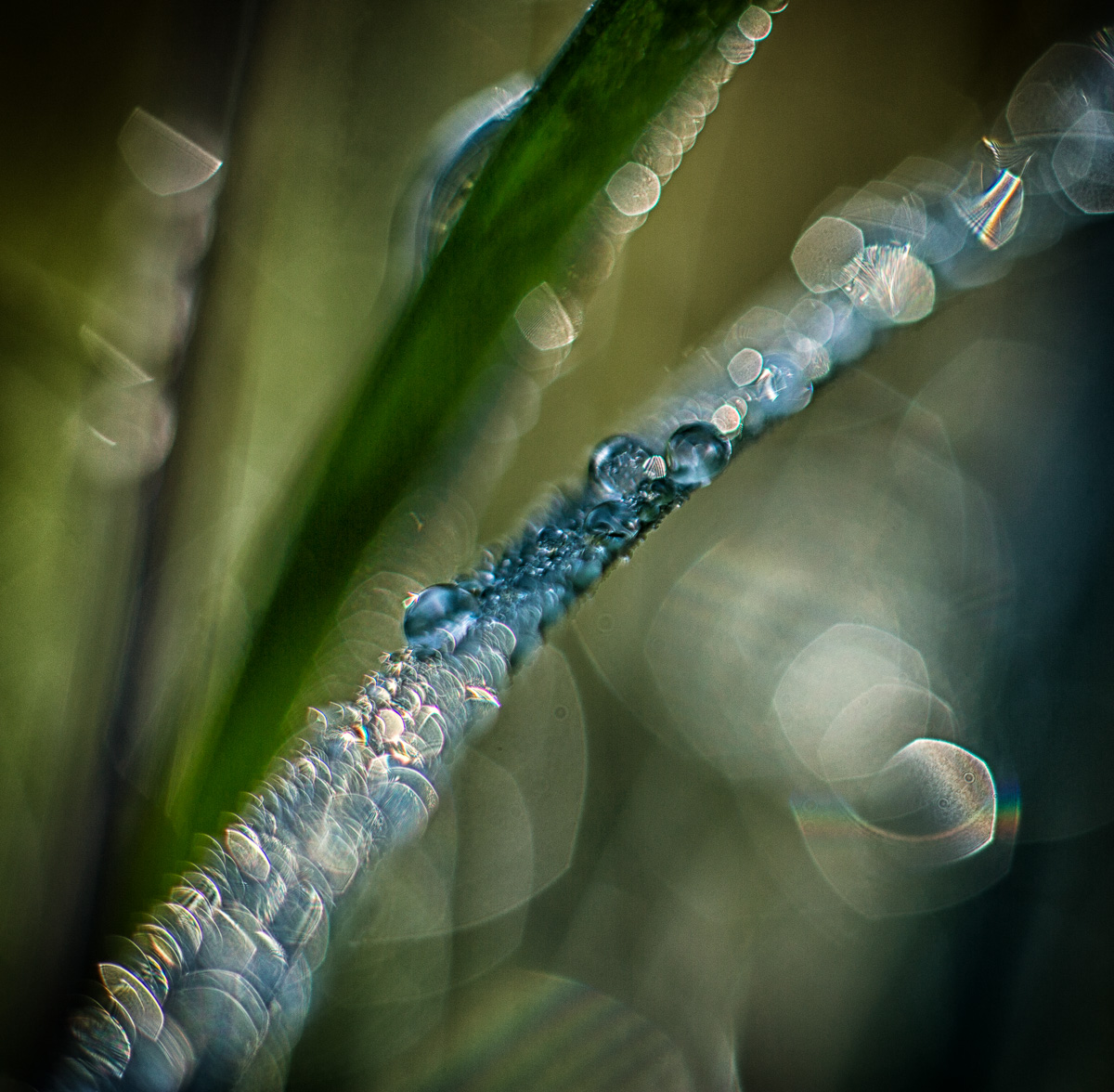 Bejeweled