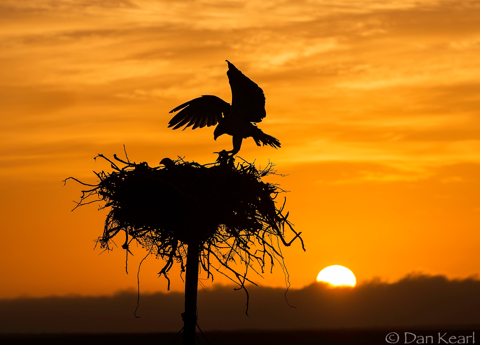 Baja Sunrise