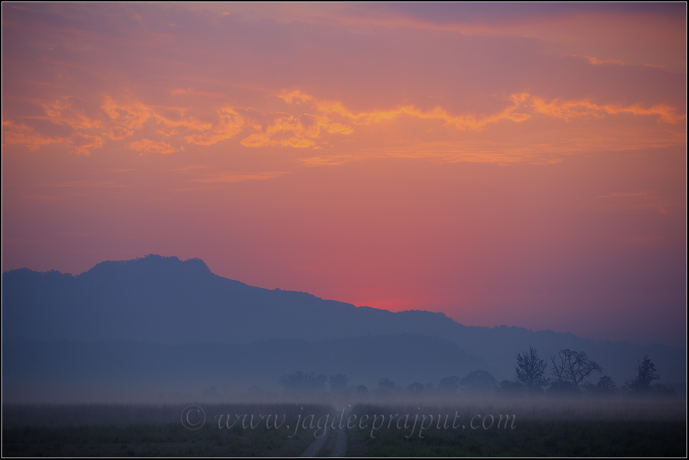 Dawn in Corbett