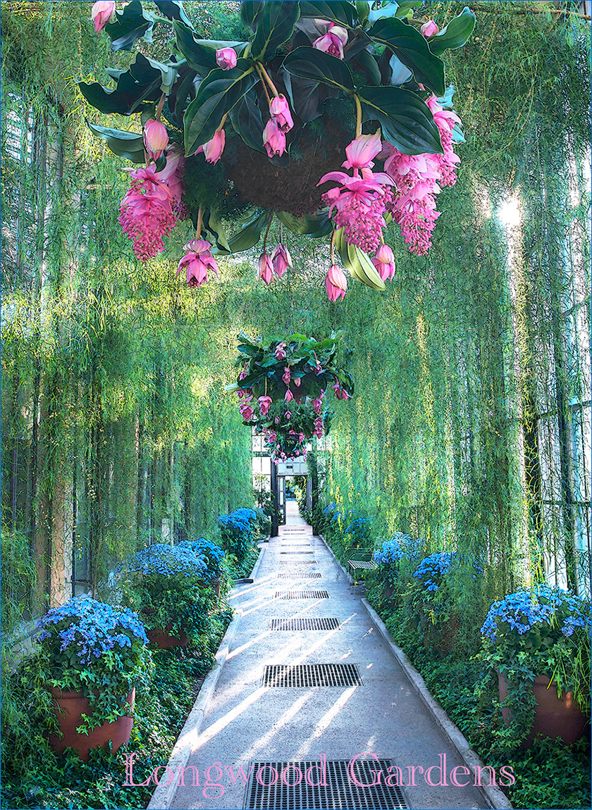 Longwood Gardens