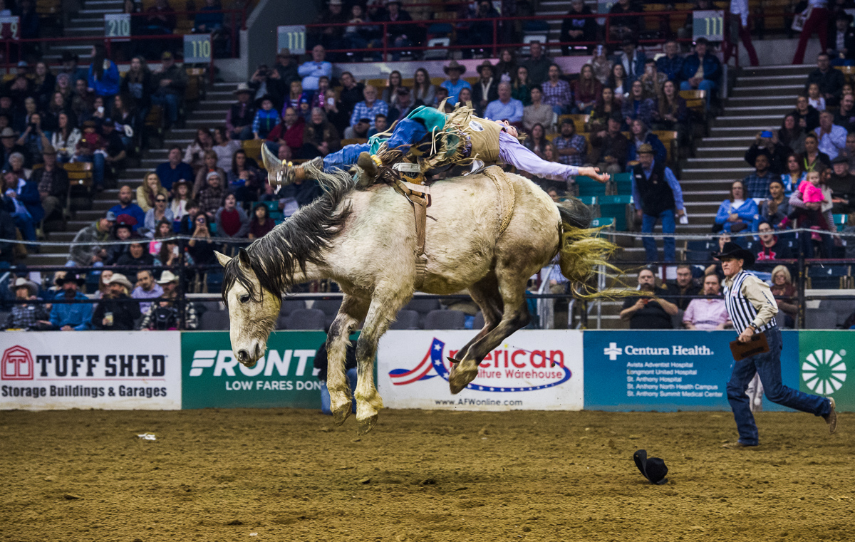 Bronc Rider