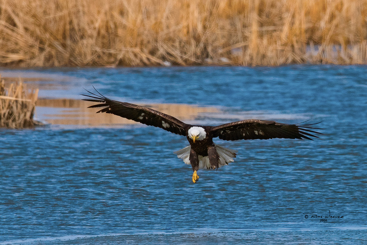 One Foot Landing
