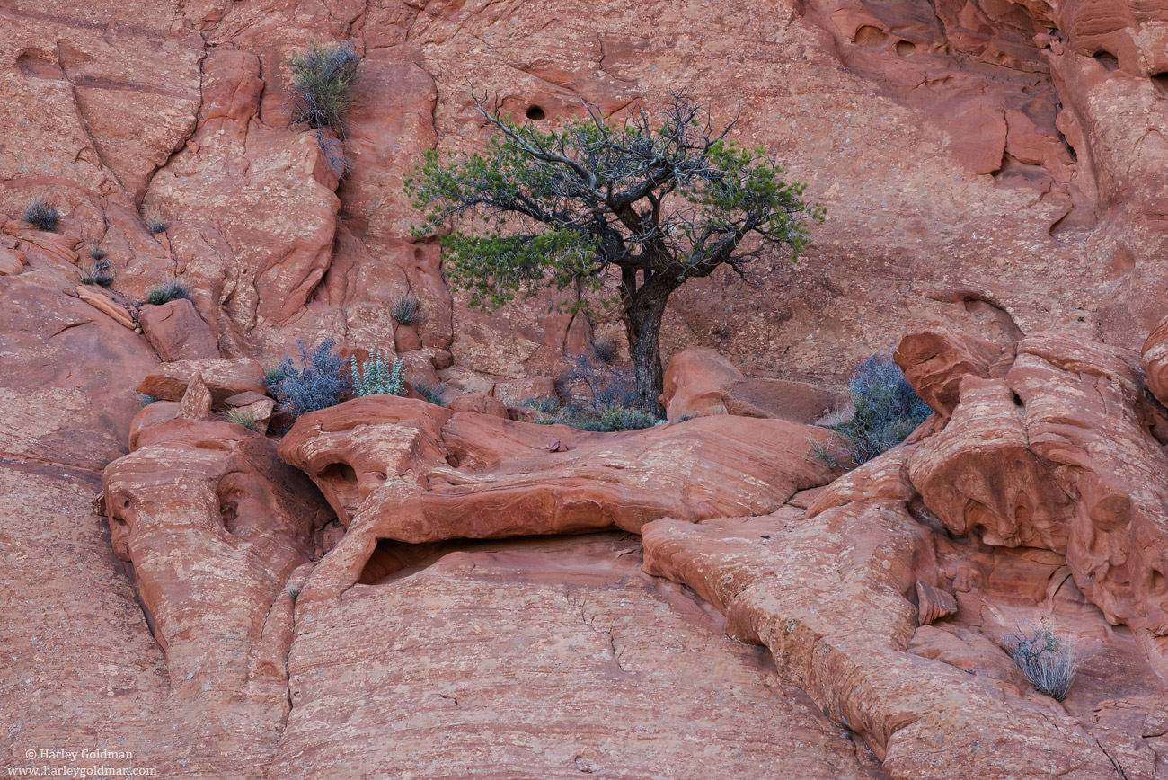 Little Alcove