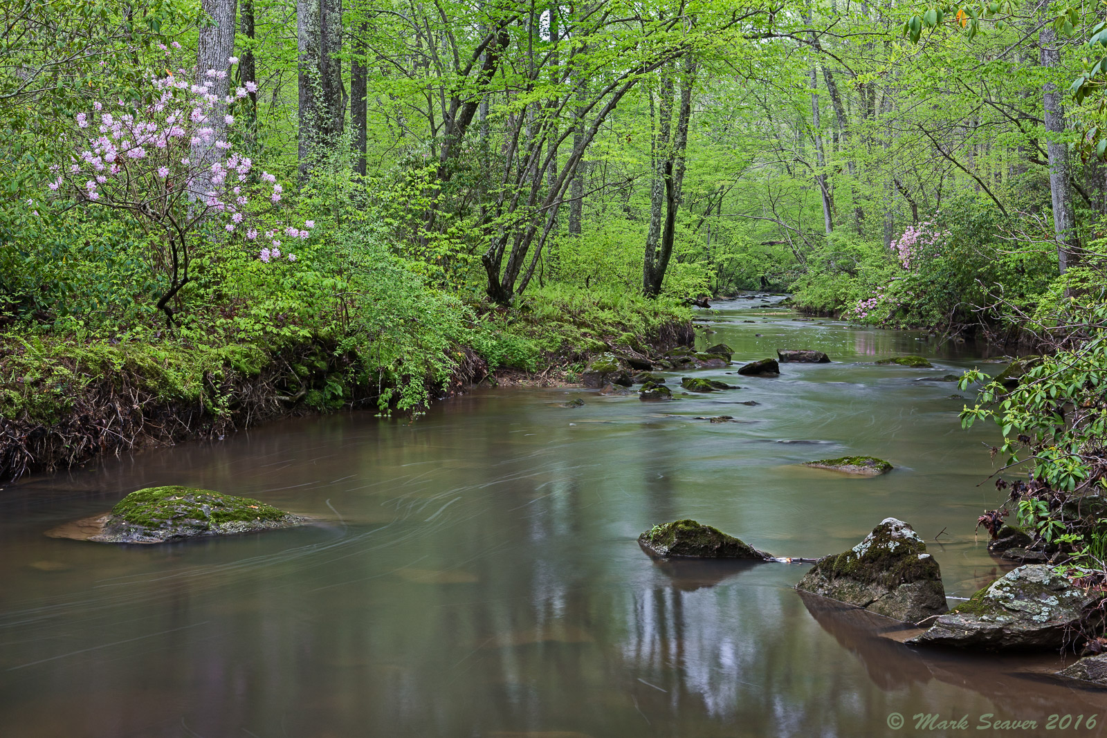 Spring Rains