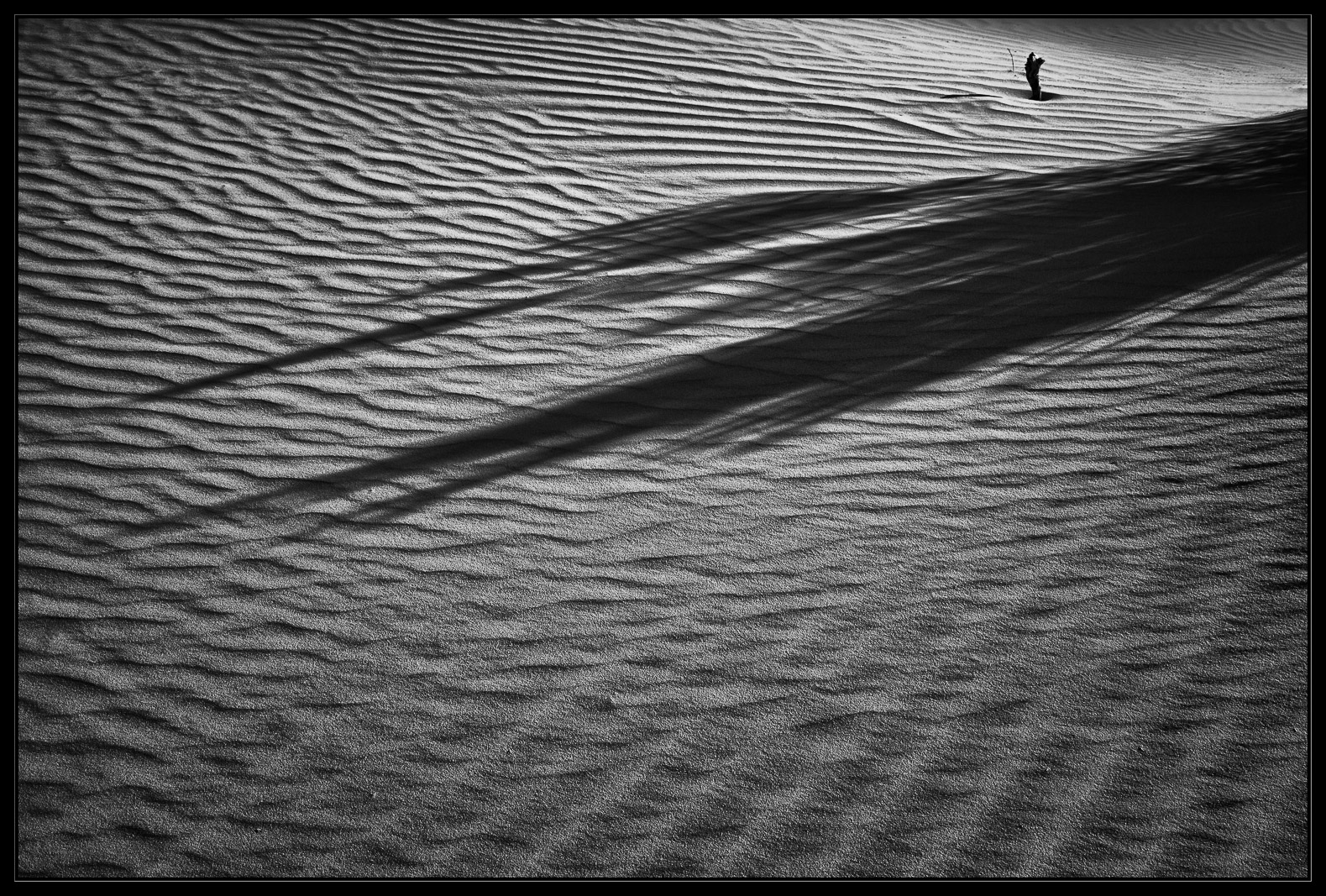 Shadow Play
