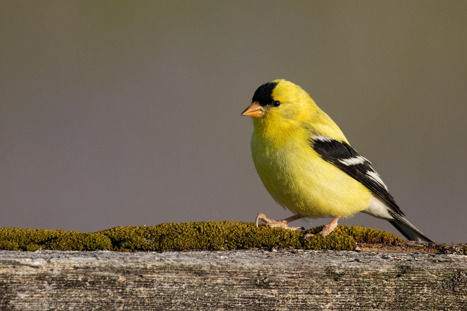 Background