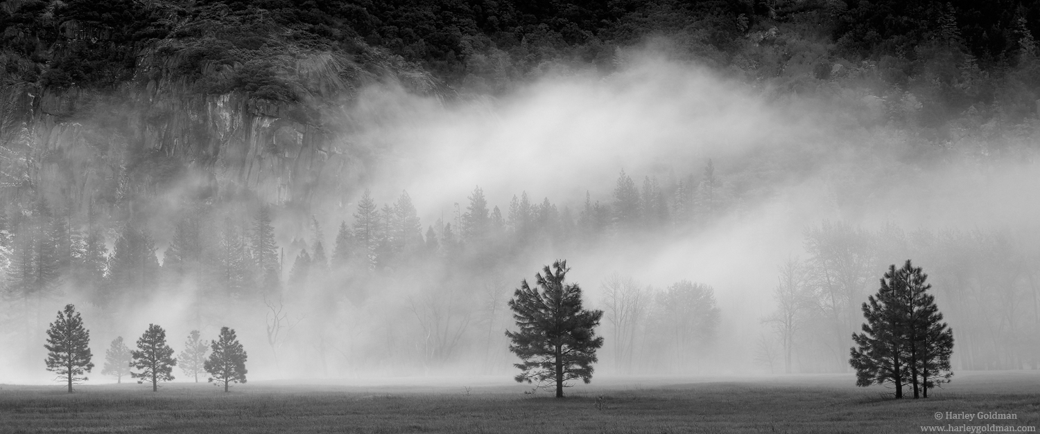 White Shroud