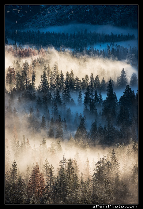 Yosemite fog