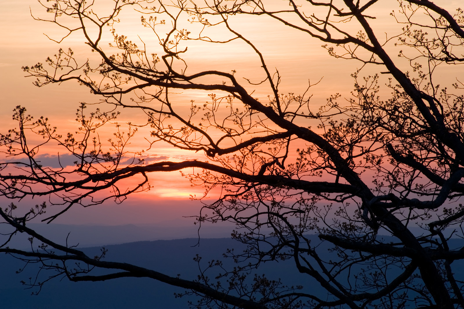 Quiet Sunset + repost