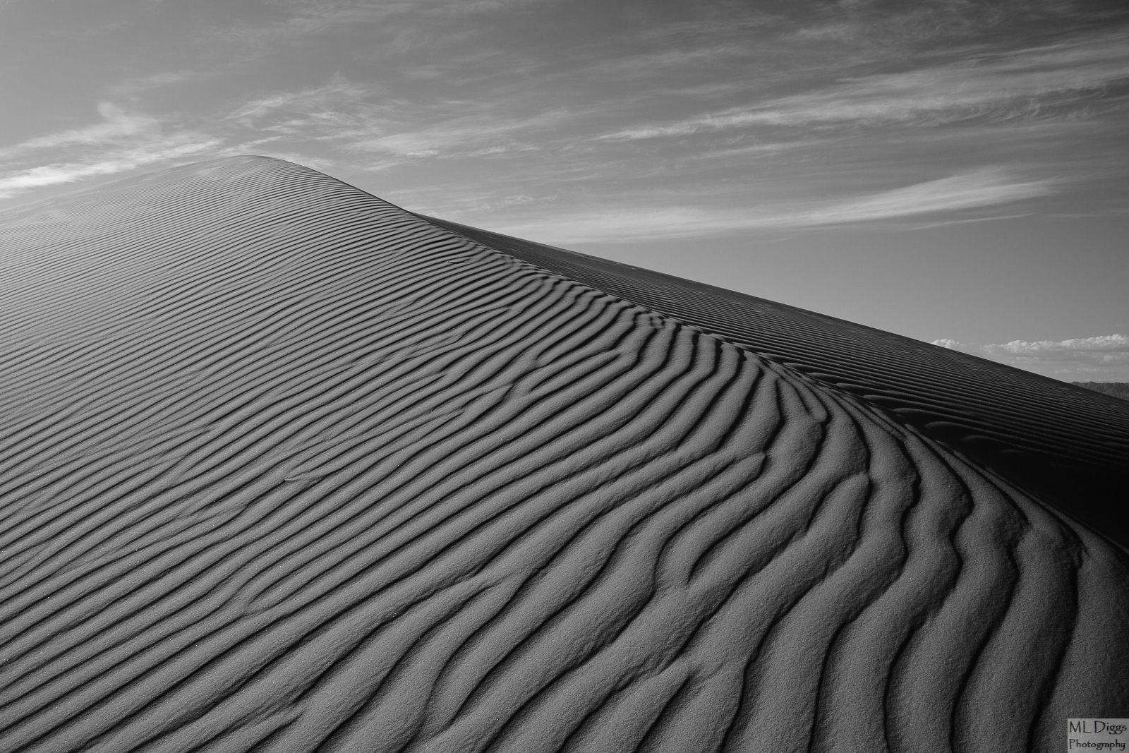 Repo of Algodones Dunescape #3