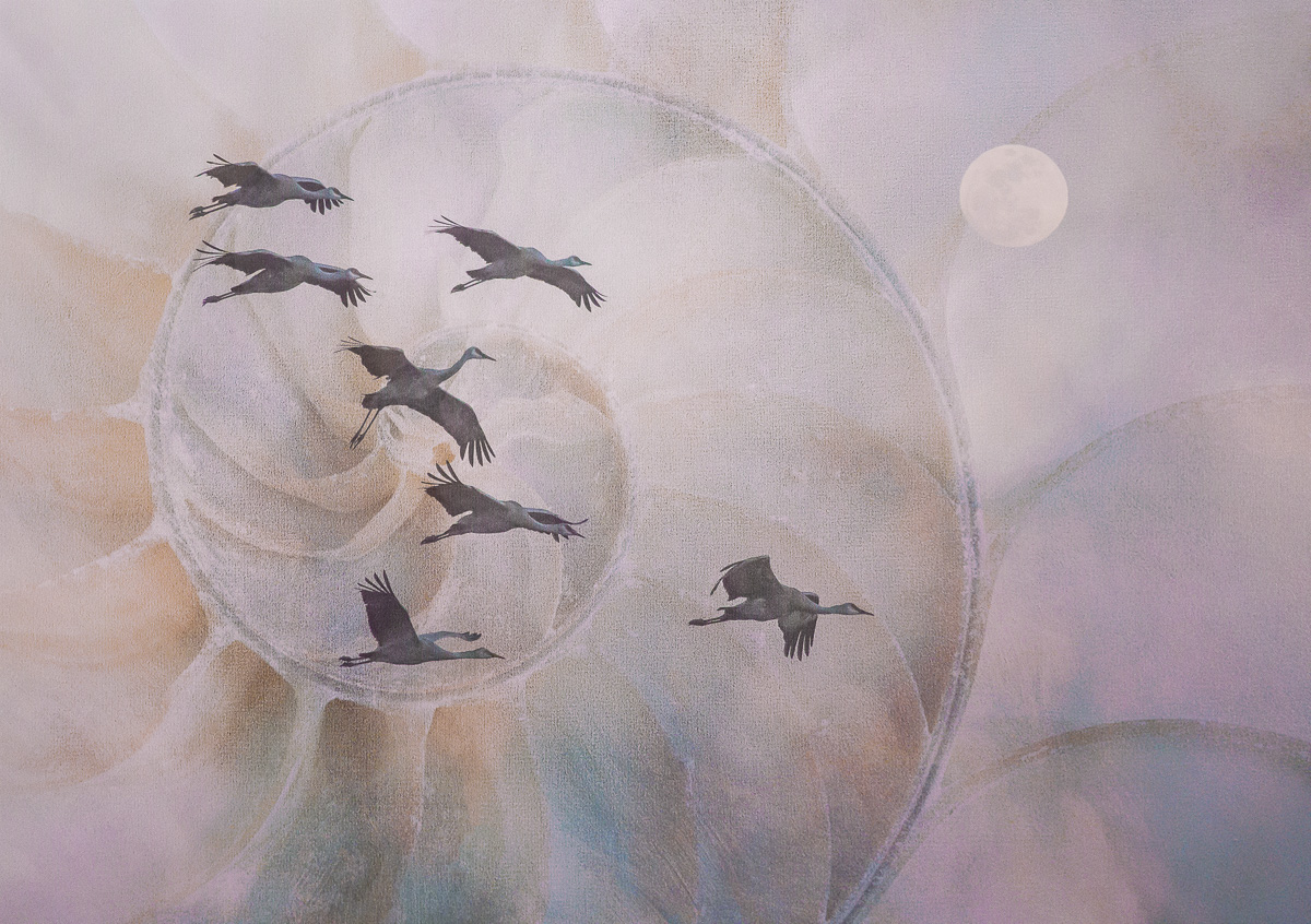 In Flight