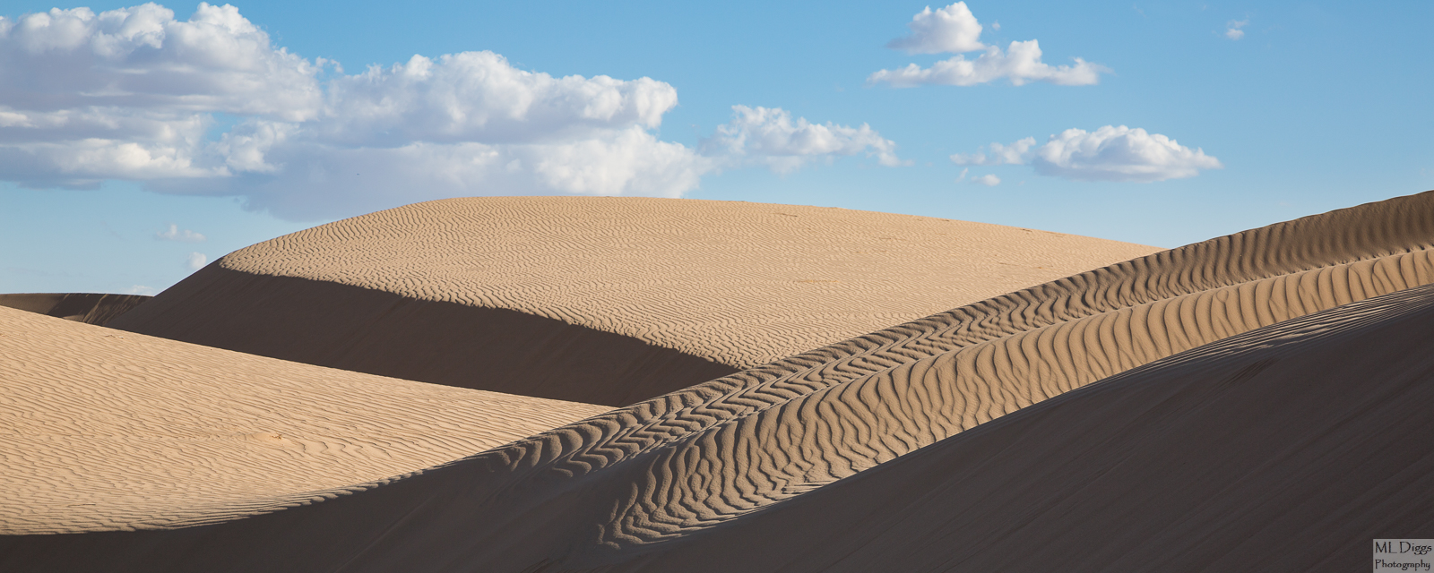 BW Repo of Algodones Dunescape #4