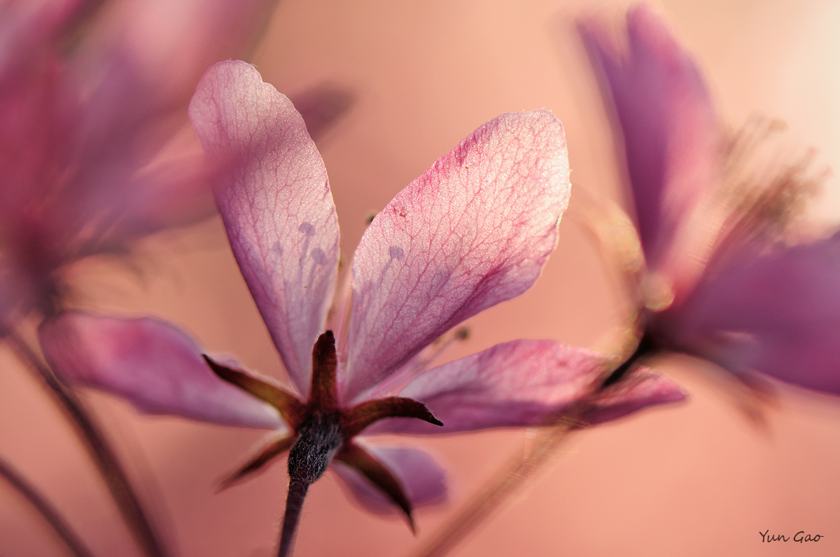 Spring shadows + repost