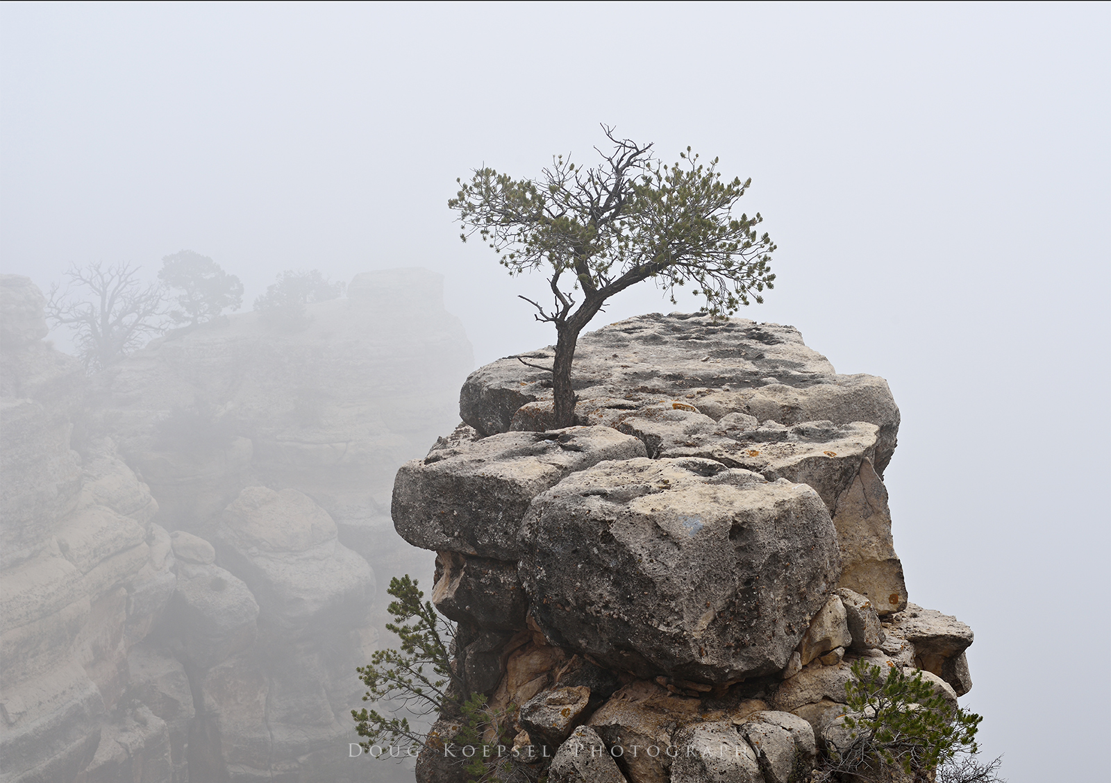 Island in the Fog