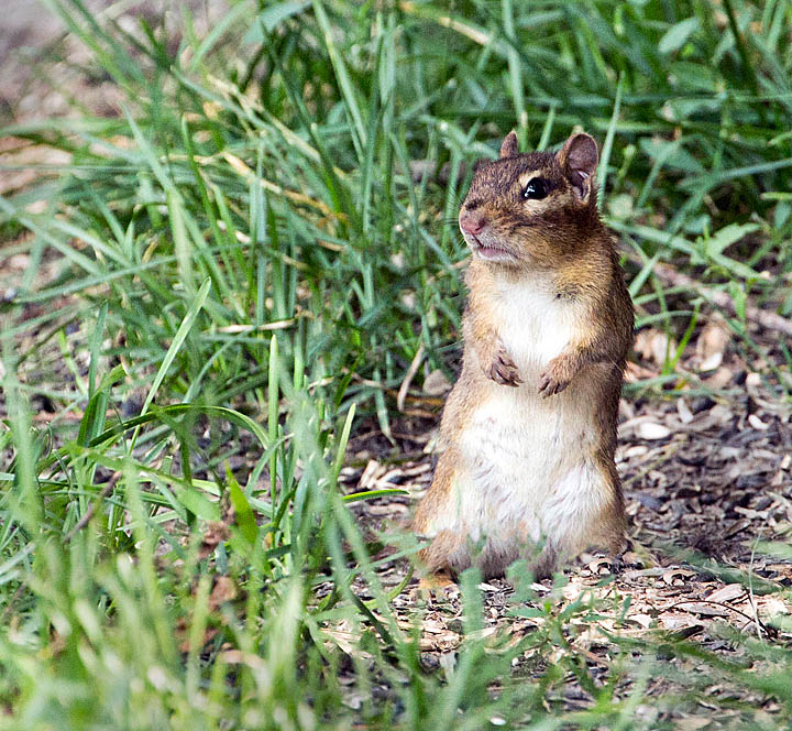Strike the pose