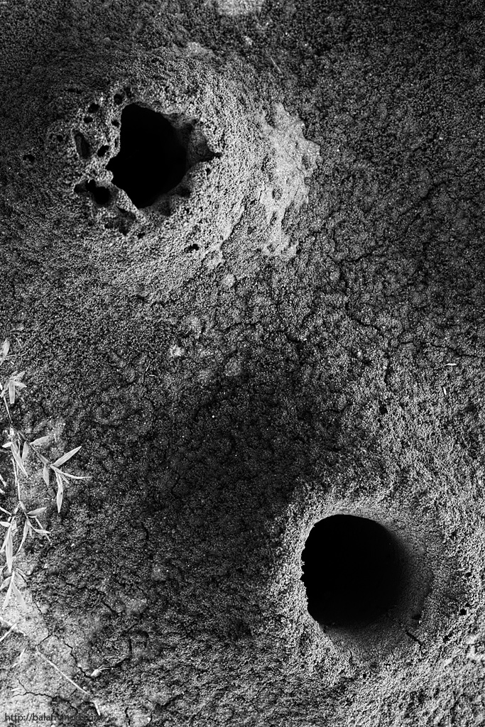 Alien Scape