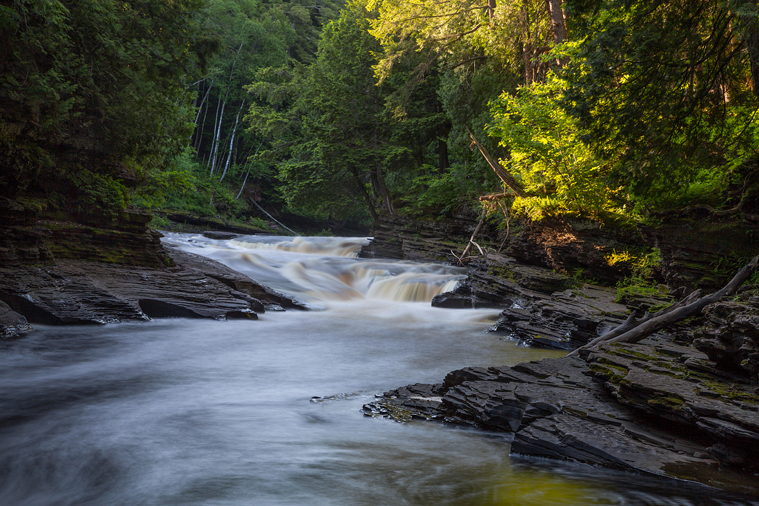Morning on the River